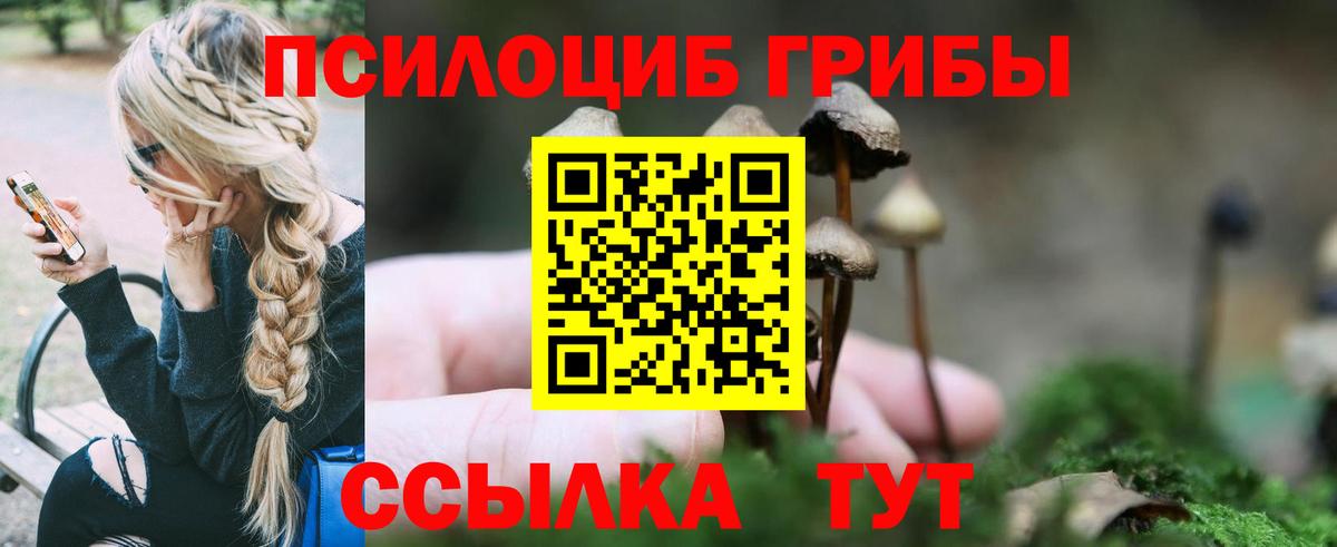Псилоцибиновые грибы MAGIC MUSHROOMS Чехов